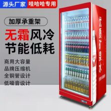 饮料展示柜冰柜大容量冷藏保鲜玻璃门娃哈哈同款立式超市单开门