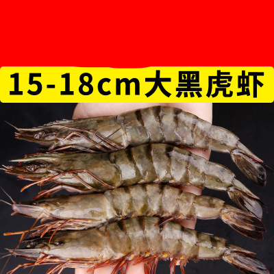 买1盒送1盒大号竹节虾新鲜大虾黑虎虾海鲜水产鲜活鲜活冷冻海虾|ms