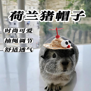 Guinea Pig Hat Special Summer Decoration for Going Out, Cute and Funny Photo-Taking Headgear and Props
