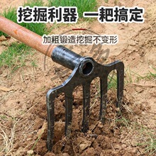 65�i��غ�2/3/4/5ȫ䓰��ӷ����������������N���������X�r�ð�
