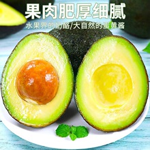 秘鲁季牛油果回购应当好吃的宝宝哈斯新鲜水果低糖孕妇进口辅食