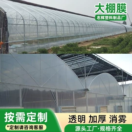 农用薄膜;功能薄膜;其他塑料薄膜