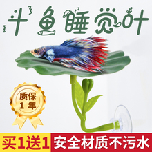 ���~��Ϣ�~����~�a�Ѻ��~�ӷ���ˮ�ݘ��~˯�X���~���쾰�b[��