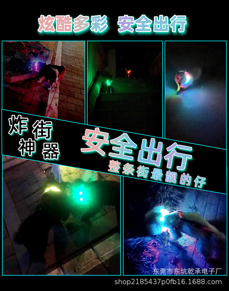 Dog Luminous Collar