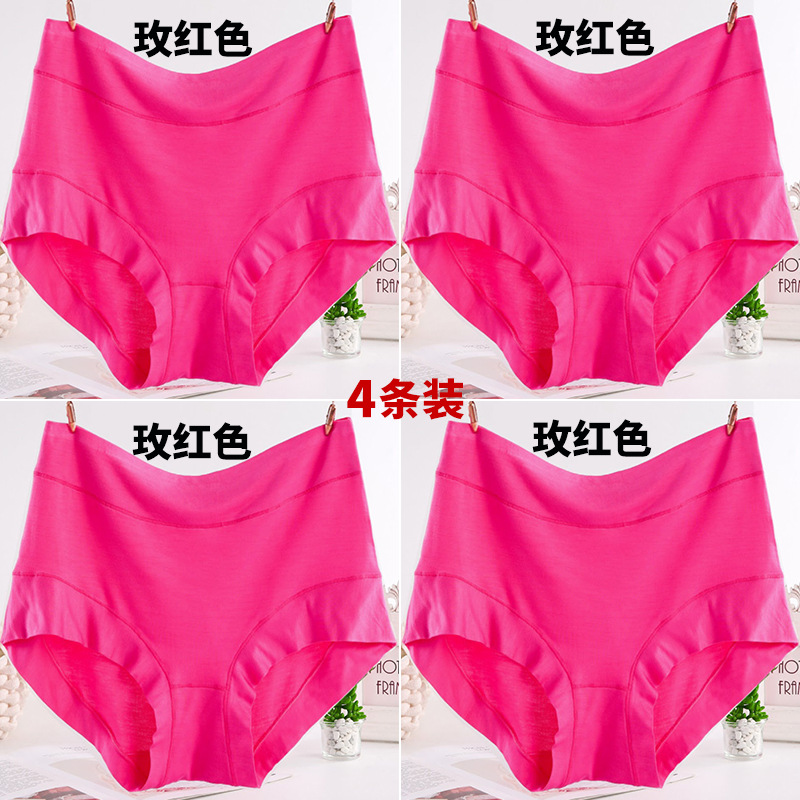 【4줄】4줄 로즈 레드