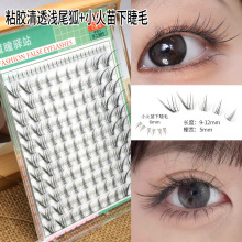 �zˮ��ٽ�ë��Ȼ��ϵ��͸�����М\β���̺�С�����Ϸ���ƽ��