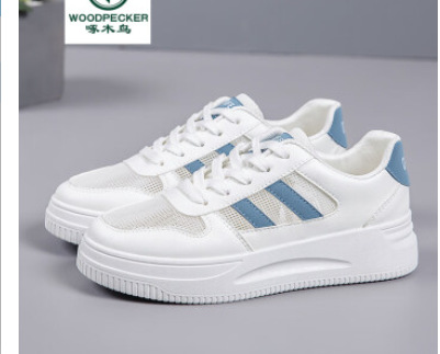 QR02-1 흰색과 파란색