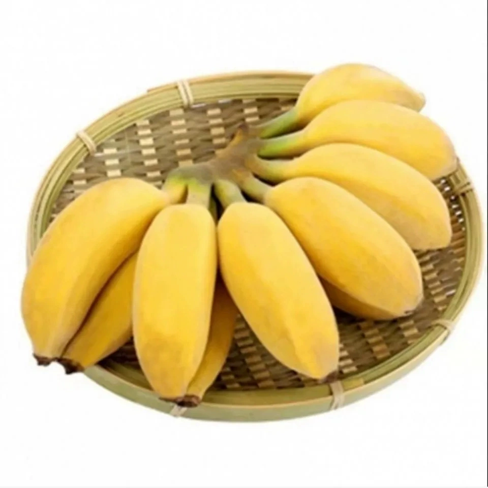 Гуанси, яблоко, банан, свежие фрукты, целая коробка, 2.5kg шт., бесплатная доставка, сезонные маленькие бананы, дропшиппинг