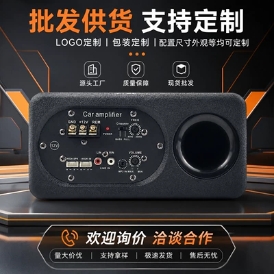Active Tweeter 12V High and | Car speaker/subwoofer