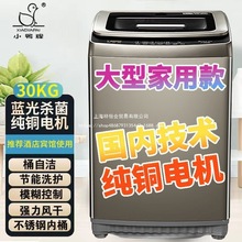 【+纯铜】小鸭全自动洗衣机容量小型家用洗脱1体酒店商用
