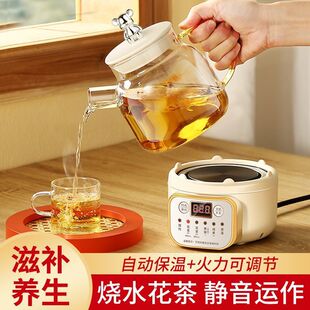 Multifunctional Glass Pot Household Fully Automatic Tea Maker Office Small Tea Kettle Hot Water Kettle Mini Wholesale