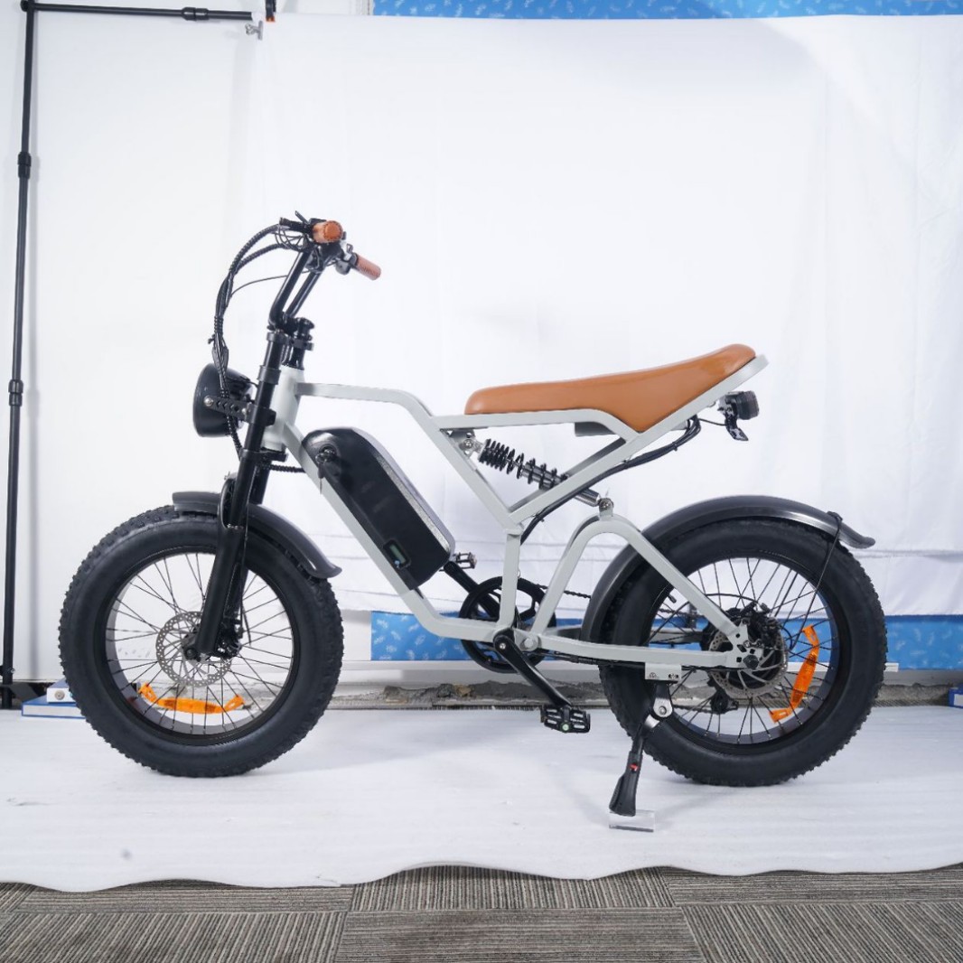 La fábrica de origen, el almacén en el extranjero, una pieza, un neumático gordo de 20 pulgadas, bicicleta eléctrica todo en uno en la playa de nieve todoterreno