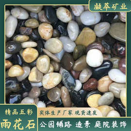 厂家供应五彩精品雨花石抛光鹅卵石园林造景工程铺路铺地鱼缸装饰