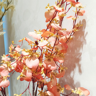 �F���Ҿ��b����m�� ��ȸ�����m�� Ӱ�ǔzӰ�������b��߼ٻ�