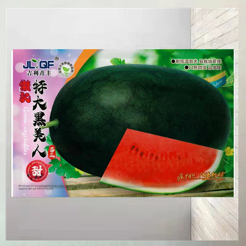 Black Beauty Watermelon Seeds Large Fruit Watermelon Seeds Extra Large Seed Watermelon Seeds Field Spring Sowing Fruit Watermelon Seeds