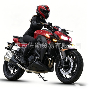 Z1000Ħ��܇N19�����߽�܇����܇���͙C܇ABS��400cc�p��ˮ��ِ܇