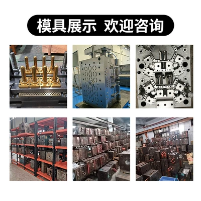 Shell Accessories Two-color Mold Injection – Avtomobil hissələri qəlibləri