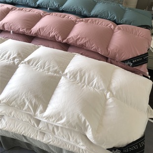 Horse Cotton Solid Color Silent Down Quilt 95 White Goose Down Winter Quilt Core Pure Cotton Warm Winter Quilt