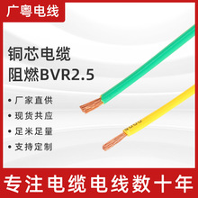 跨境铜芯电缆阻燃BVR2.5平方多股软19/0.41铜线家装工程电线电缆