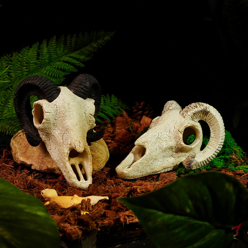 Lagarto, serpiente, cráneo, mascota trepadora, casa de refugio, resina, reptil, paisajismo animal, calavera, pecera, acuario, paisajismo al por mayor