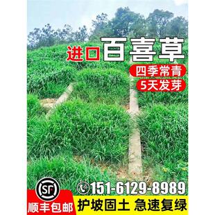 �M�ڰ�ϲ�݌��~�ݲ��ѵ�·�o�¹������ُ;G�N�ѵ̉ξG����ƺ�N��