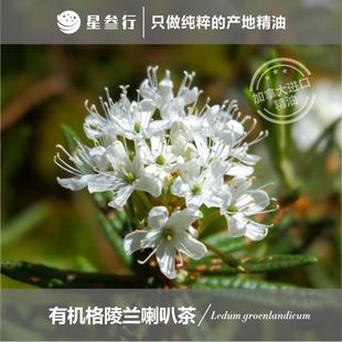 �����m���Ȳ辫�� ���ô�a�� ������Ħ��޹����ֲ�ﾫ��ԭ�����l