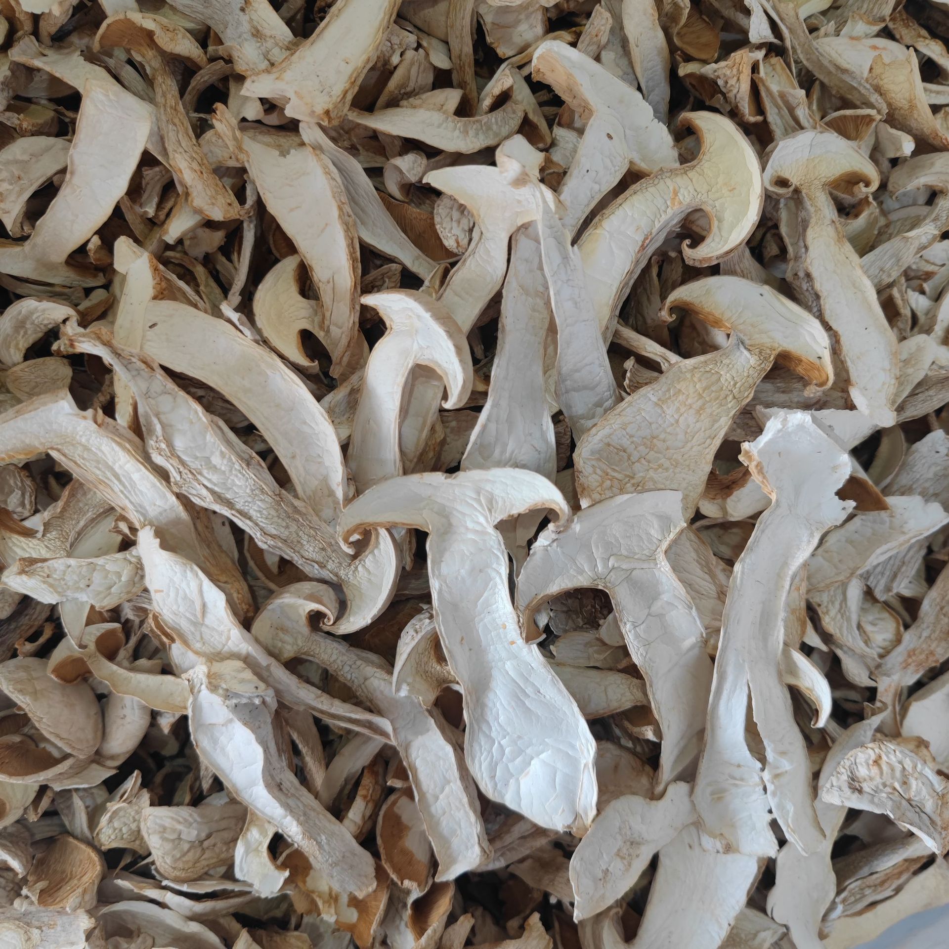 7b4b120df9c7ec723bc91252b76d55