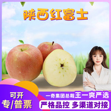 【严选】陕西红富士 代发3/9斤新鲜脆甜老树红富士苹果当季水果