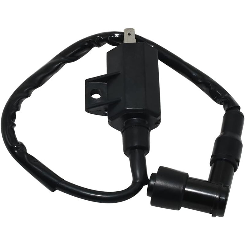 Kawasaki Atv Ignition Coil 21121-1160 21121-1198 for Kawasaki Klf220