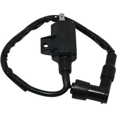 Kawasaki Atv Ignition, Alovlanma bobini (Babinalar)