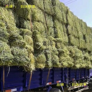 ���a��ޣ�ݸɲ�ιţι�R�ԵĲ���ţ��ɲ��������������ϝ�Z