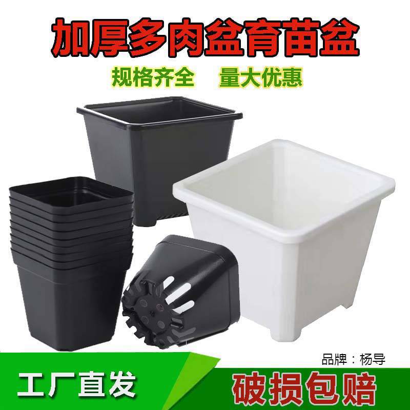 Square black white flowerpot flower-shaped