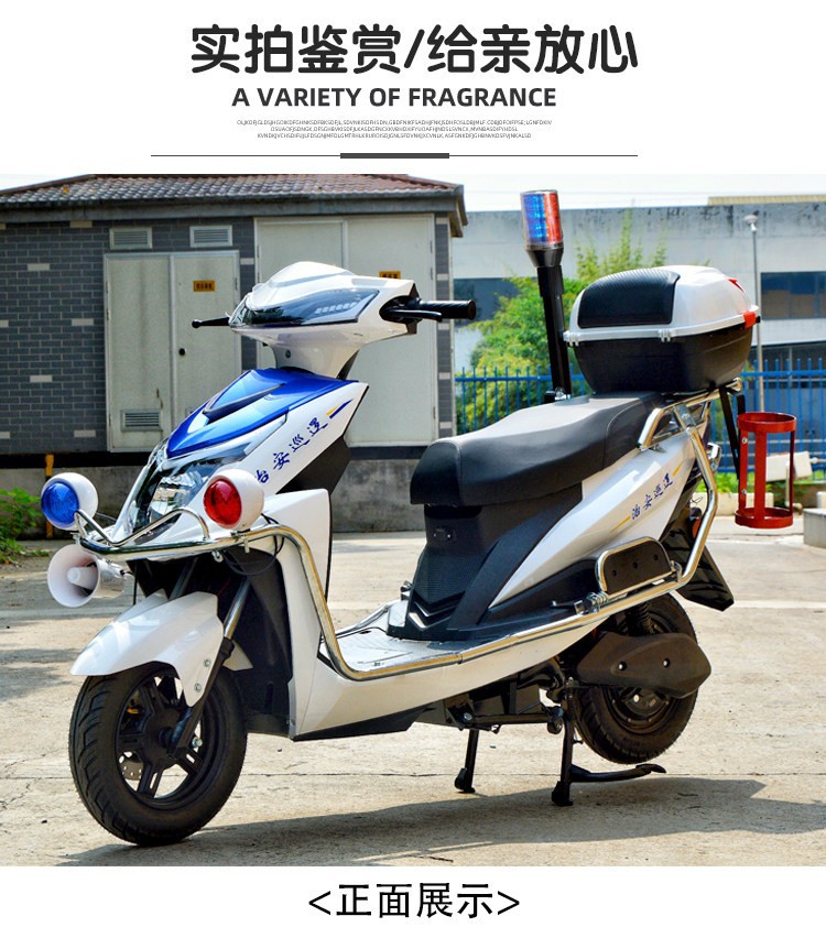 Patrol Electric Vehicle Security Battery Car