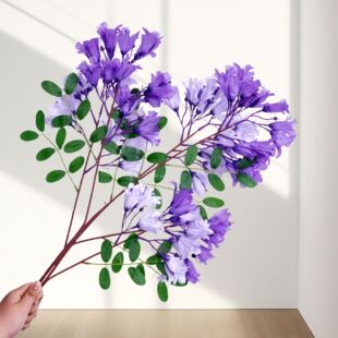 �����{��麷��滨�{��麹��̾Gֲ�廨�b��϶���ͥԺ�����Ĕz����