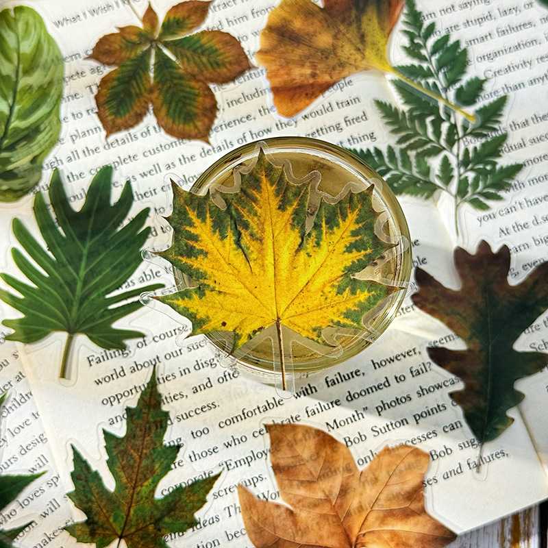 Hojas caídas en otoño impermeable mascotas transparentes pegatinas de tela de mano paquete diy pegatinas de tela de mano materiales vegetales pegatinas de hojas para niños pegatinas de hoja