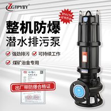WQB防爆污水泵BT4/CT4防爆潜水泵输送易燃易爆液体整机防爆排污泵
