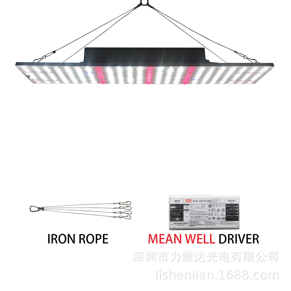 ledֲ ֲ̫ﲹƼôﻨ