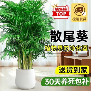 ɢβ���������Ը��FҬ��ֲ���Pβ��Gֲ���ԾW�tֲ�����͏d�҃�