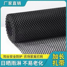 黑色塑料阳台防护网防盗窗防猫网防漏安全网家禽养殖鸡鸭鹅围栏网