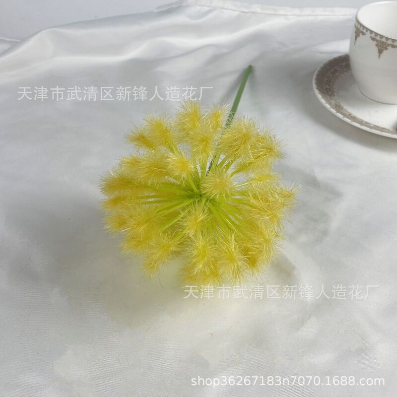 タンポポは玉ねぎの花球の造花撮影だけを模倣しています。|undefined