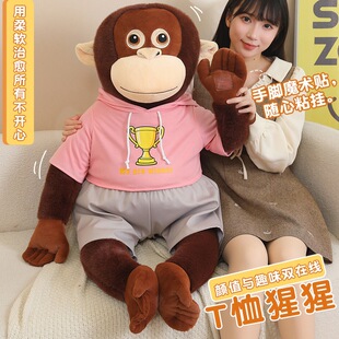 �羳���������ë�q���д��·�����ë�q����l�º���ż��ͯ�Y��