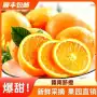赣南赣州到家新鲜脐橙