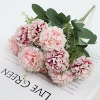 PS-2020-29 Light Ou Chrysanthemum 3#