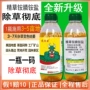 果园正品除草农药胺