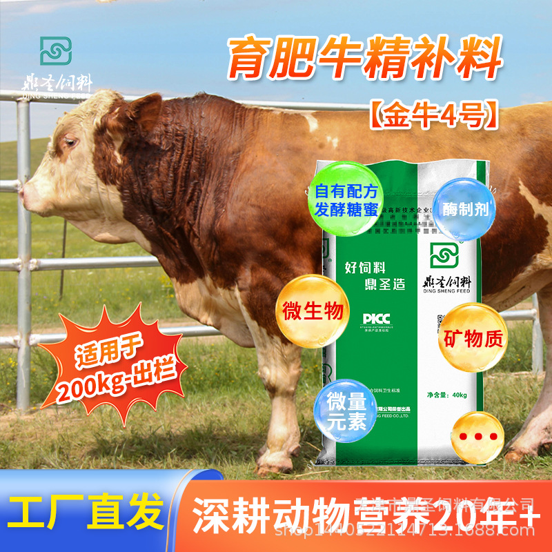 鼎圣育肥牛精补料定制产品牧场定制肉牛豆粕玉米西门塔尔