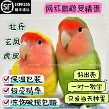 ĵ���W�^���ܾ����N���B�����˹����������ܾ���