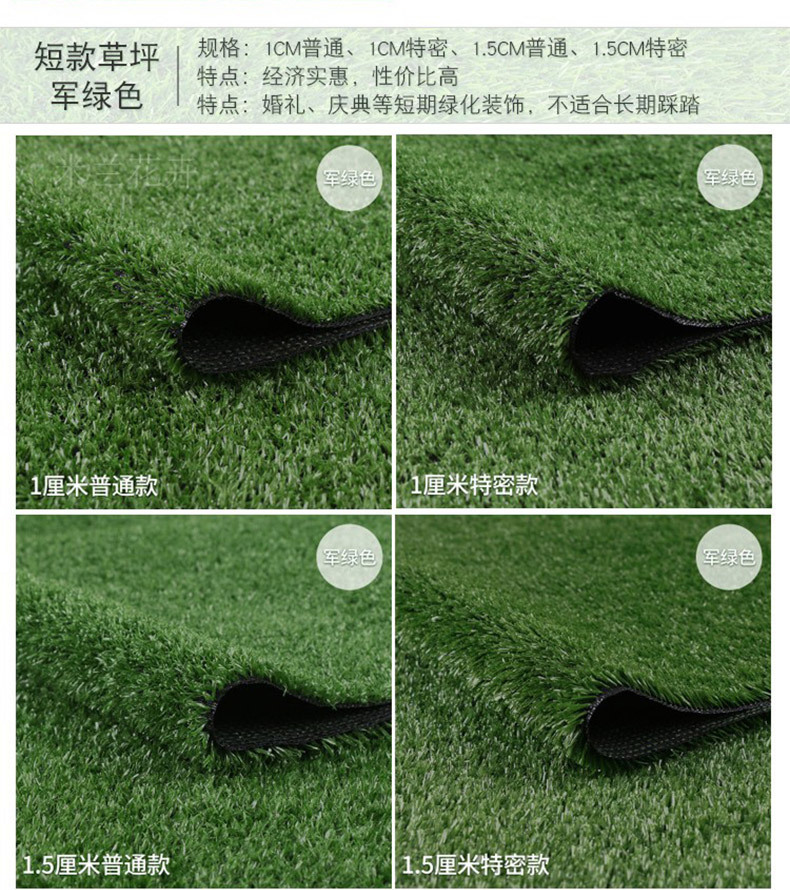 阿里地毯草详情 (6)