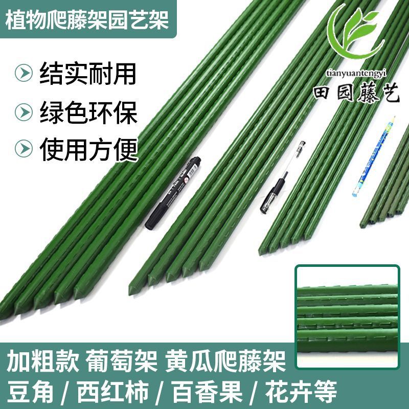 55511cd3-3d8f-413b-b89b-087d8d8964b9.jpe