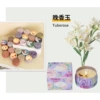 Tuberette - Colored Box