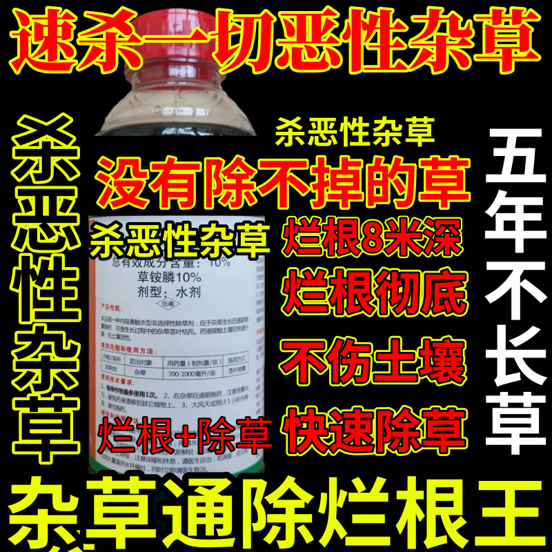 速杀一切恶性杂草精草铵膦铵盐杀恶性杂草除草剂果园烂根剂杀草王